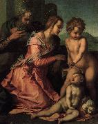 Andrea del Sarto Holy Family china oil painting artist